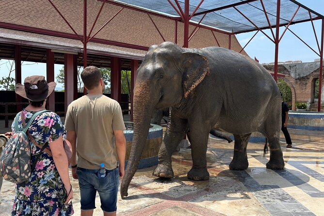 Phuket: Elephant Nature Walk - Guided Tour with Transport - What to wear and bring: the mud and sun are real