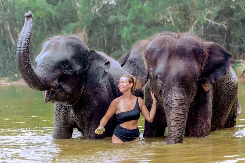 Phuket: Elephant Sanctuary Feed and Bathe Gentle Giants - A Compassion-First Elephant Day Near Phuket