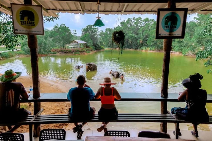 Phuket: Elephant Sanctuary Feed and Bathe Gentle Giants - Unlimited Photos: Taking Your Time Without Feeling Rushed