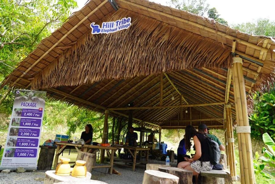 Phuket: Elephant Sanctuary Guided Tour with Hotel Transfers - Patong Hill Tribe Elephant Village: What the Guide Actually Does