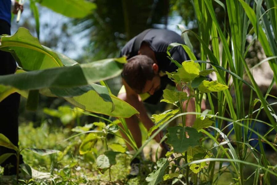 Phuket: Elephant Sanctuary Guided Tour with Hotel Transfers - FAQ