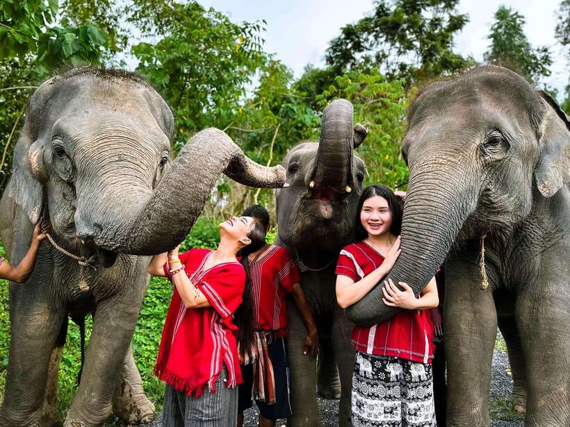 Phuket : Experience feeding and bathing elephants 1.5 Hrs. - The camp greeting, changing into mahout gear, and the warm-up