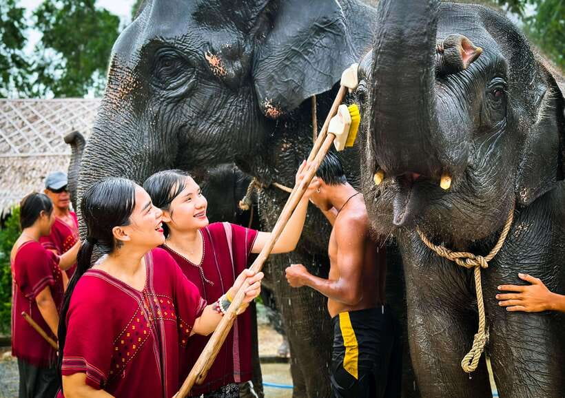 Phuket : Experience feeding and bathing elephants 1.5 Hrs. - Bathing time: playing in the water and staying sane while soaked