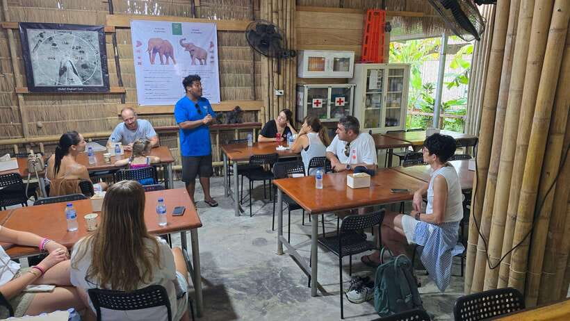 Phuket: Feeding Elephants at Phuket Elephant Care - Getting to Loch Palm or Naithon camp, then starting with coffee and snacks