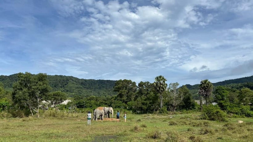 Phuket: Freedom Elephant Reserve - Ethereal Nature Walk - Value for money: why $51 can make sense or feel tight
