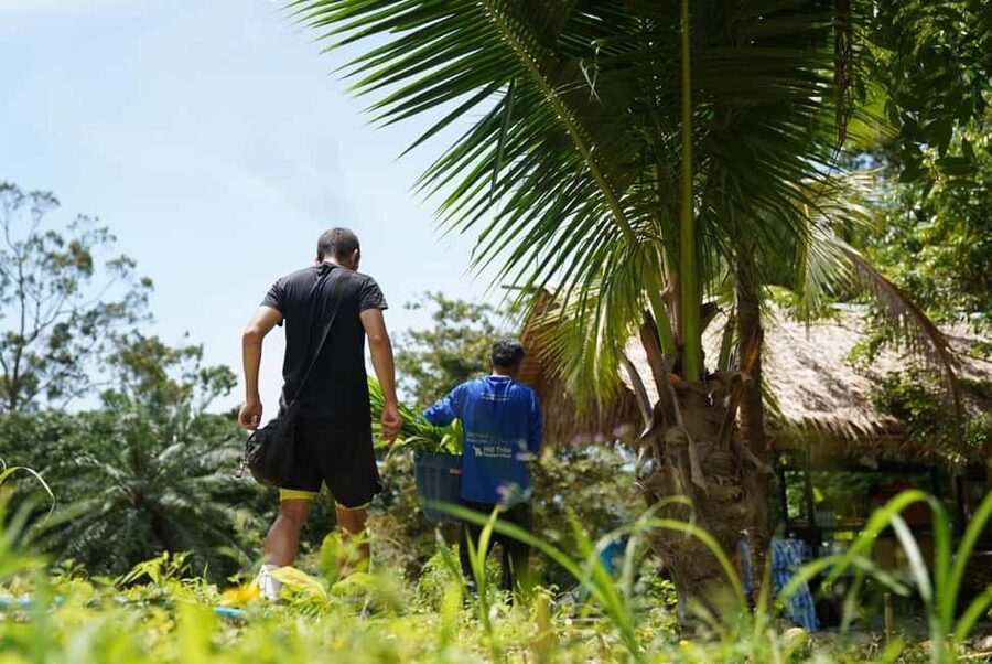 Phuket: Guided Tour to Elephant Sanctuary & Hotel Transfer - Price and value: is $38 worth it for a guided sanctuary encounter?