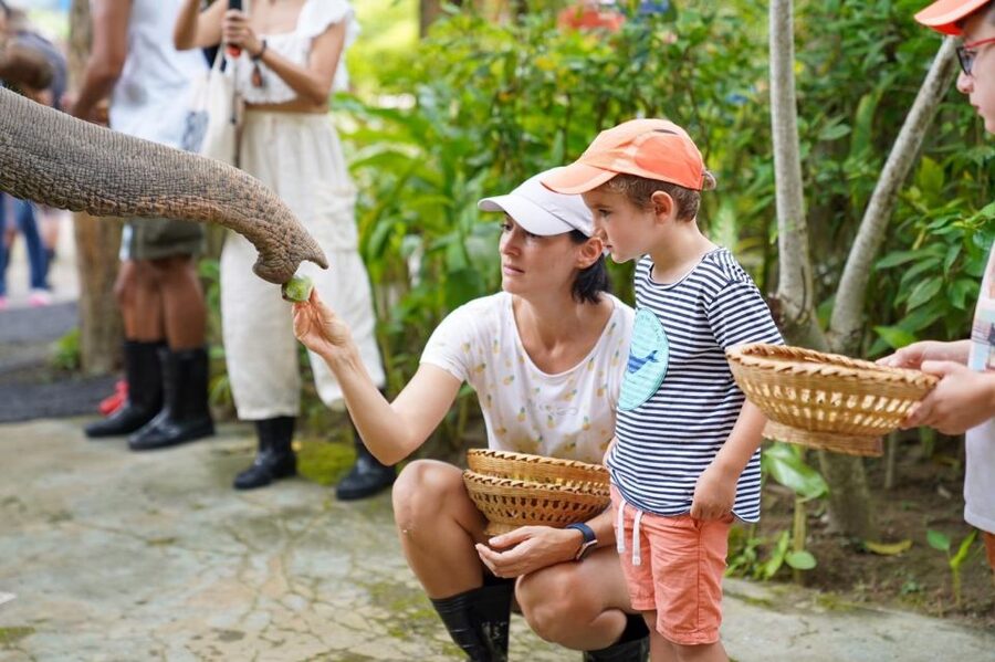 Phuket: Guided Tour to Elephant Sanctuary & Hotel Transfer - Morning vs afternoon slots: why the time you choose changes the vibe