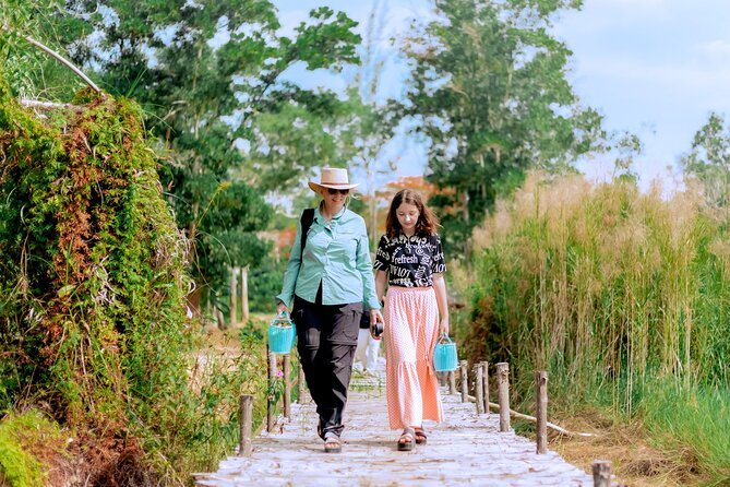 Phuket Guided Tour to Elephant Sanctuary with Hotel Transfers - Rescued Elephants in Phuket, With No Riding or Shows