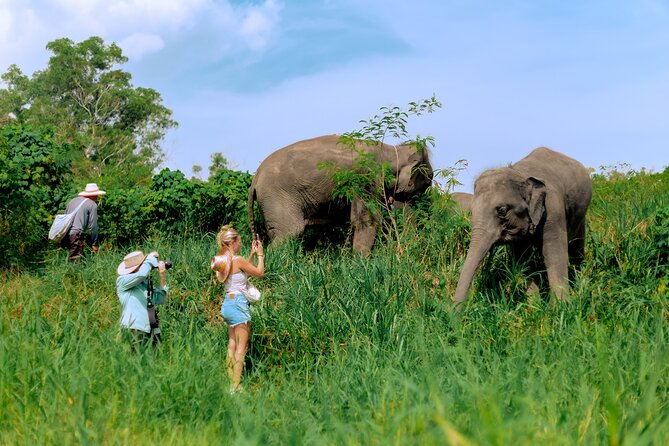 Phuket Guided Tour to Elephant Sanctuary with Hotel Transfers - Hand-Feeding 5 Elephants, and Why the Details Matter