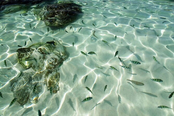 Phuket: Half Day Khai Islands by Speedboat - Boarding the Speedboat: What the 30-Minute Run Means for Your Day