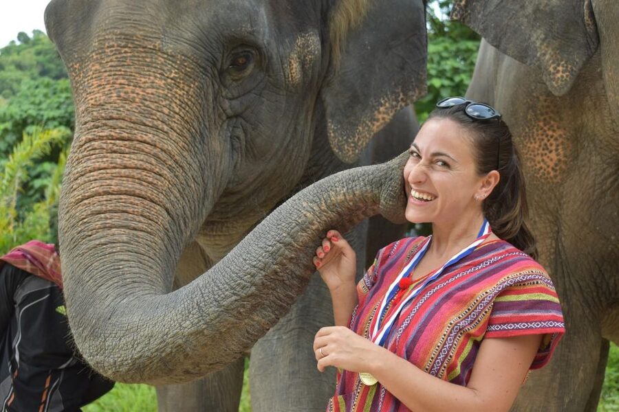 Phuket: Half Day or 2-Hour Ethical Elephant Care Sanctuary - Transfers back to your hotel: plan for the end of the day too