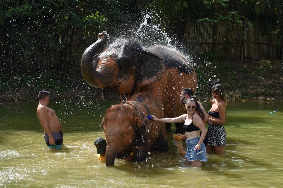 Phuket: Half Day or 2-Hour Ethical Elephant Care Sanctuary - Arriving at Nai Dee Elephant Care Park in Phuket (and what “ethical” really means here)