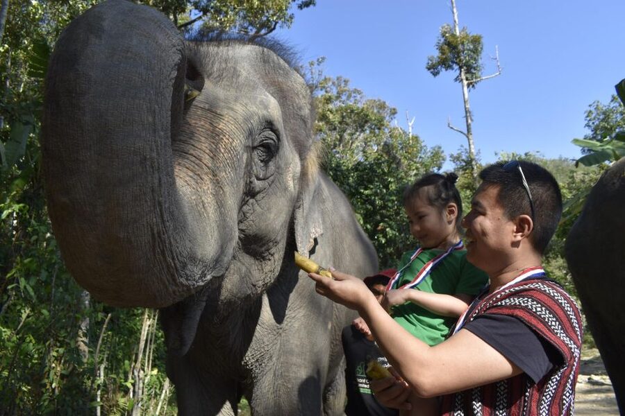 Phuket: Half Day or 2-Hour Ethical Elephant Care Sanctuary - Preparing elephant food: the part that turns viewing into participation