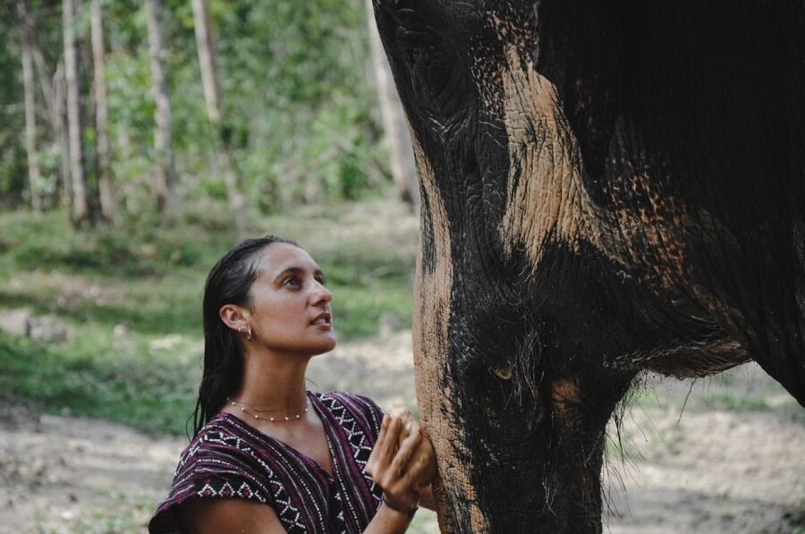 Phuket: Half Day or 2-Hour Ethical Elephant Care Sanctuary - The included Thai cooking class: a welcome break from animal time