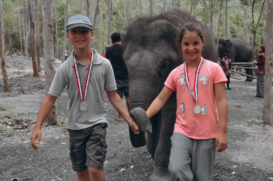 Phuket: Half Day or 2-Hour Ethical Elephant Care Sanctuary - Picking the right option: 2-hour elephant feeding vs half-day mud spa