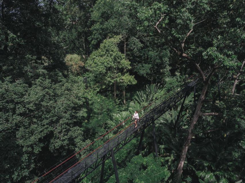 Phuket: Hanuman World Zip Line Adventure - How the 150-minute adventure actually feels