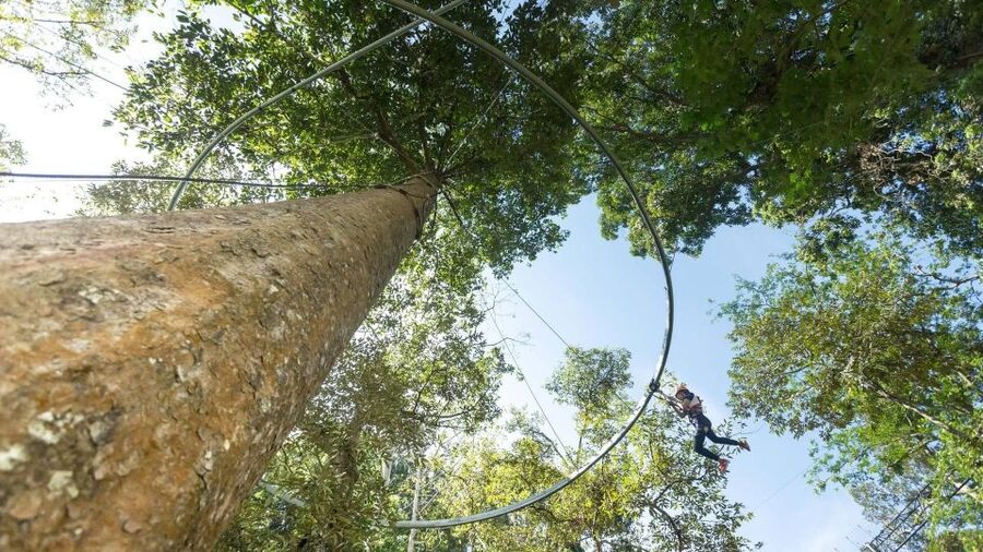 Phuket: Hanuman World Zip Line Adventure - Rappels, sky bridges, spiral staircases, and the roller