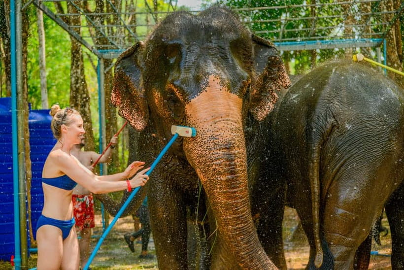 Phuket: Happy Hour Feed and Rain Shower with Elephant - What to Bring (So Rain Shower Day Stays Comfortable)