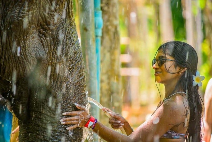 Phuket: Happy Hour Feed and Rain Shower with Elephant - Happy Hour Timing at Lily Elephant Camp Phuket