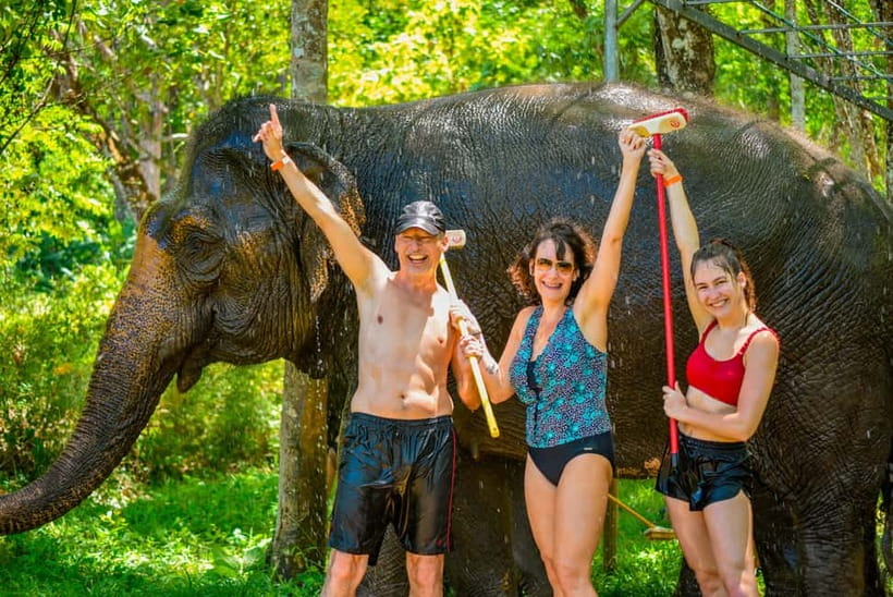 Phuket: Happy Hour Feed and Rain Shower with Elephant - Feeding Time: The Moment You Actually Remember
