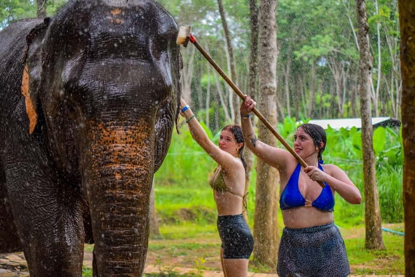 Phuket: Happy Hour Feed and Rain Shower with Elephant - The Rain Shower Session (Yes, You Will Get Wet)