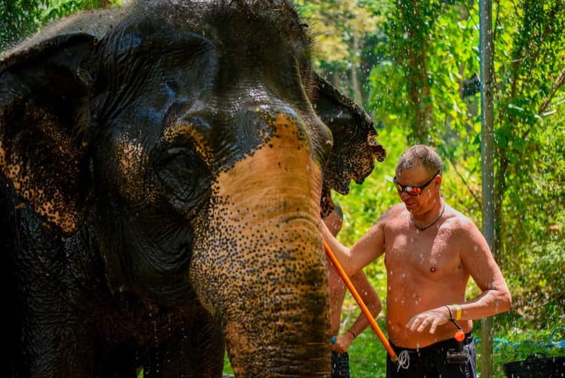Phuket: Happy Hour Feed and Rain Shower with Elephant - Care Team and English Guide: How the Experience Stays Grounded
