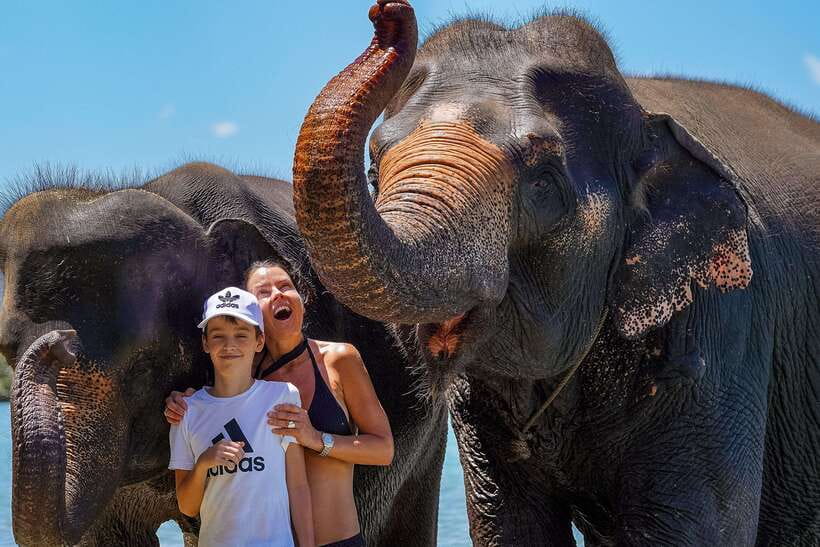 Phuket: Happy Hour Feed and Rain Shower with Elephant - What Is Included for $37, and Why It Feels Fair