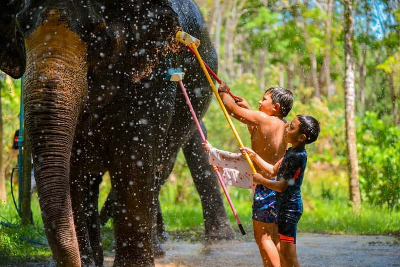 Phuket: Happy Hour Feed and Rain Shower with Elephant - Non-Included Items: Plan Around the Missing Pieces