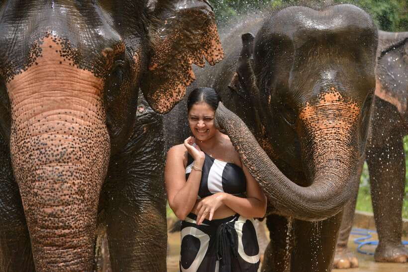 Phuket: Happy Hour Feed and Rain Shower with Elephant - Meeting Point Reality Check: Don’t Lose Time at 2:30 PM