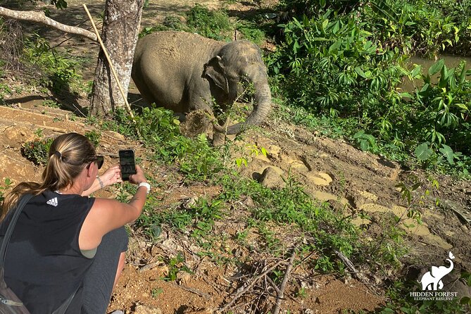 Phuket: Hidden Forest Elephant Reserve Guided Tour with Lunch - Bamboo Observation Huts and the Big Buddha Valley Views