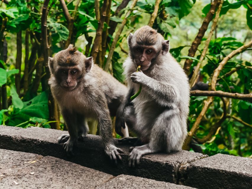 Phuket: James Bond Island Longtail Boat and Sea Canoe Tour - Price and value: what you really pay, plus the cash you must budget