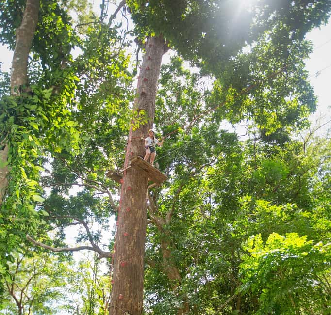 Phuket: Jungle Xtreme Adventure Park Entry Ticket - Ziplines in Phuket jungle: fast, high, and spaced for momentum