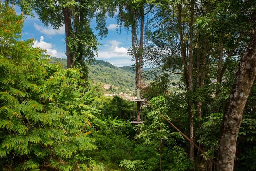 Phuket: Jungle Xtreme Adventure Park Entry Ticket - The free-fall jump: adrenaline, then a quick reality check