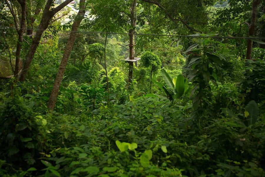 Phuket: Jungle Xtreme Adventure Park Entry Ticket - Price and value: is $48 worth a full day of treetop adrenaline?