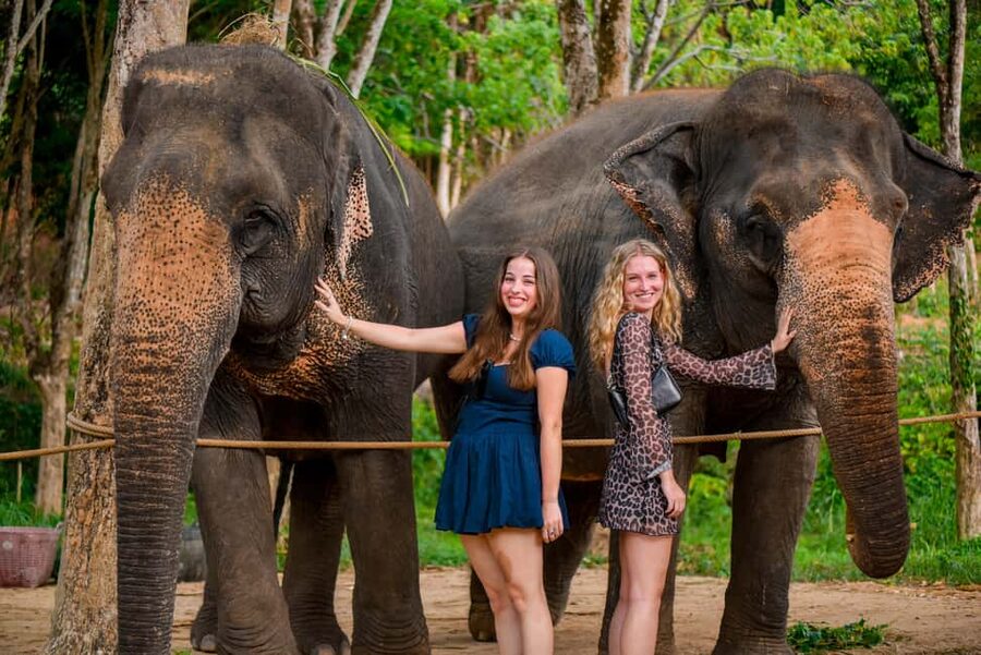 Phuket: Make & Meet The Gentle Giant Experience - Phuket Elephant Care Starts With Vitamin Balls, Not a Photo Line