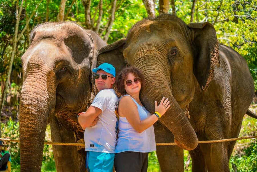 Phuket: Make & Meet The Gentle Giant Experience - Wildlife Viewing Time: About 2.5 Hours on Site