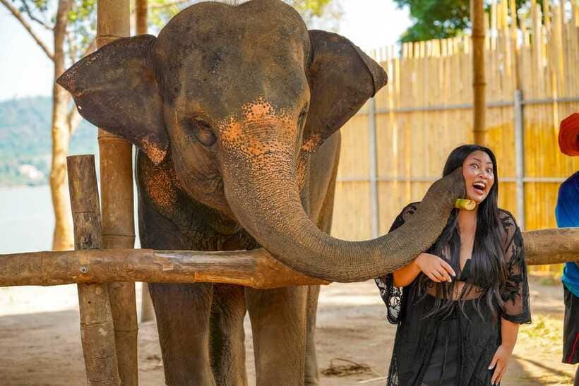 Phuket: Make & Meet The Gentle Giant Experience - Included Comforts: Food for Elephants, Plus Your Tea, Coffee, and Snacks