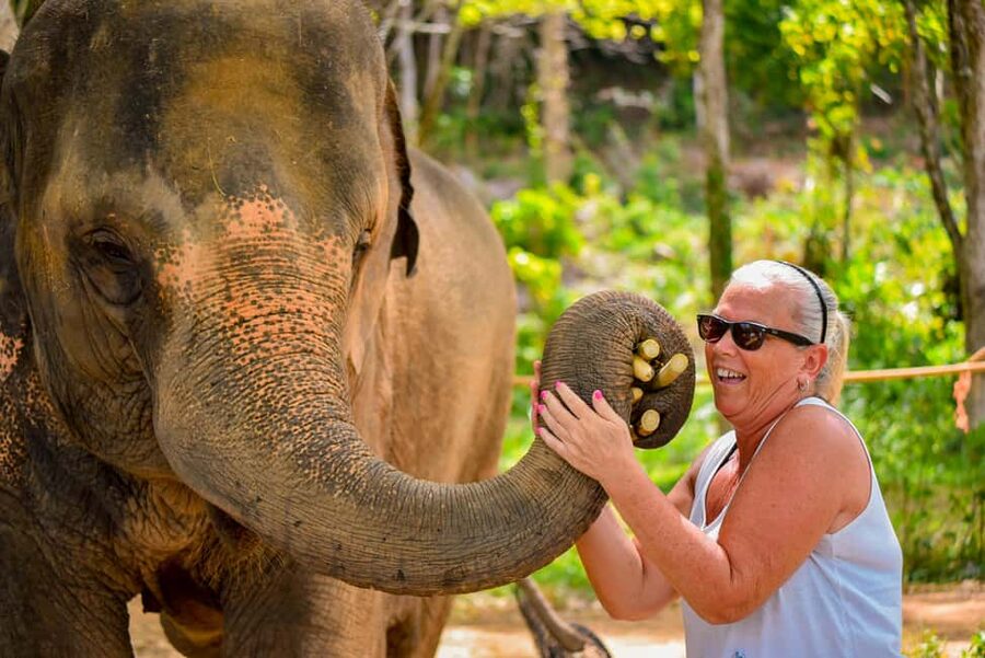 Phuket: Make & Meet The Gentle Giant Experience - Getting There: Lily Elephant Camp and Your Own Transport Plan