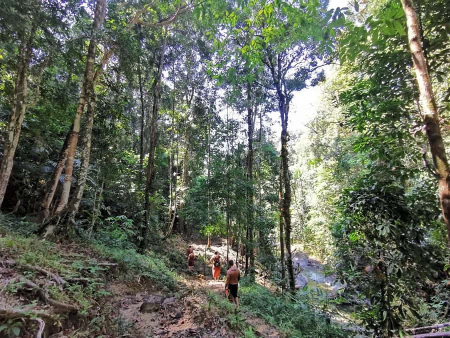 Phuket: Monkey Cave, Water Rafting, Zipline with ATV Option - ATV Option for Extra Thrill Time