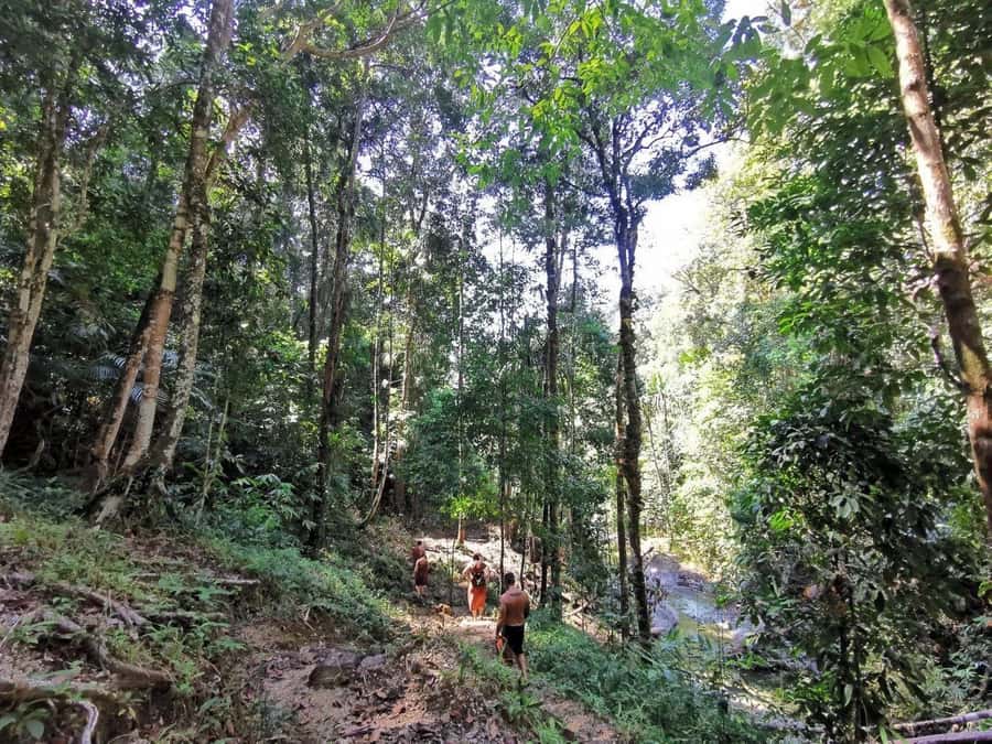 Phuket: Monkey Cave, Water Rafting, Zipline with ATV Option - Price and Value: What You Really Get for $44