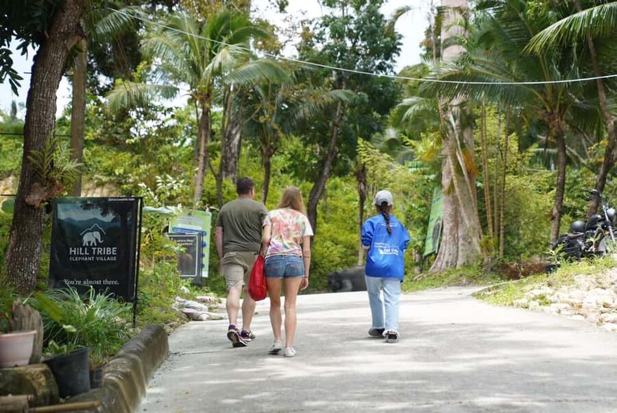 Phuket: Patong Elephant Sanctuary Observe & Learn Experience - What You’ll Learn in This 90-Minute Elephant Program