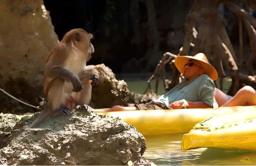 Phuket: Phang Nga,Hong & James Bond Islands by Big Boat - Key things I’d bank on before you go