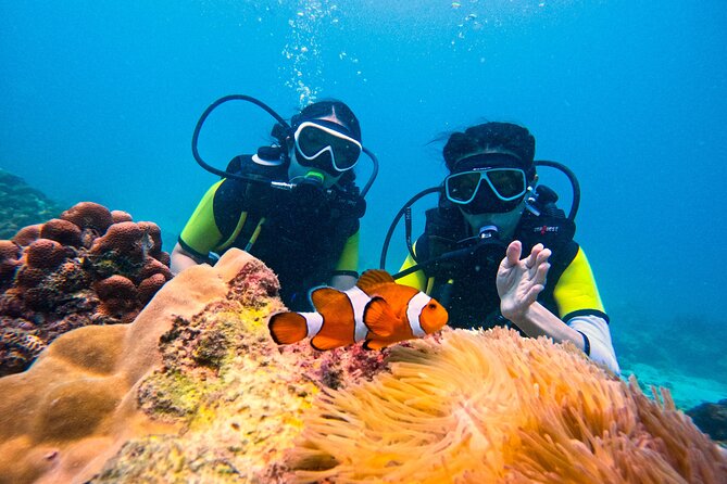 Phuket Scuba Diving: Racha Island Or Maiton Island For All Levels - Key highlights before you go