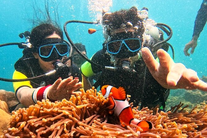Phuket Scuba Diving: Racha Island Or Maiton Island For All Levels - Phuket’s best choice hinges on one word: Racha or Maiton