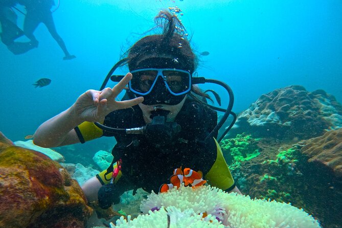 Phuket Scuba Diving: Racha Island Or Maiton Island For All Levels - Ko Racha Yai and Ko Racha Noi: sea turtles, mantas, and that “close to real” feeling