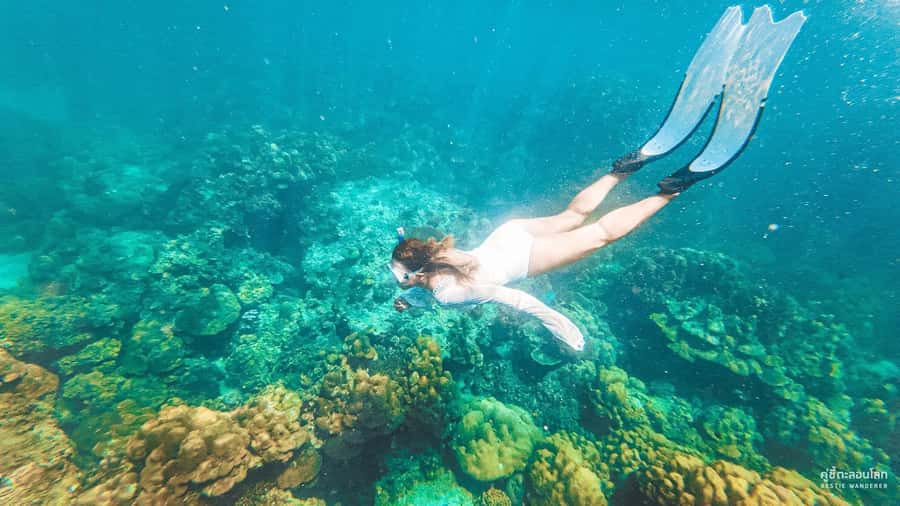 Phuket: Speedboat Day Trip to Phi Phi and Maya Bay - Speedboat day trips: why this Phuket-to-Phi Phi plan works