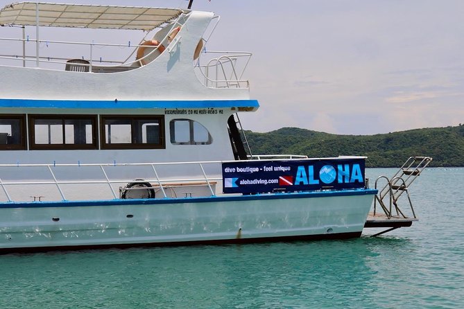 Premium Guided Scuba Diving Day Trip for Certified Divers - Snorkeling gear included, scuba gear not included, and how to plan around it