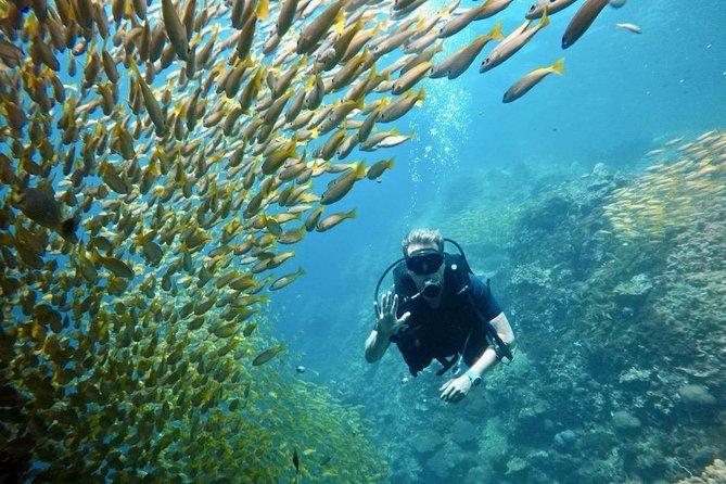 Premium Guided Scuba Diving Day Trip for Certified Divers - Boarding M/V Matchanu in Chalong, what “small group” actually means