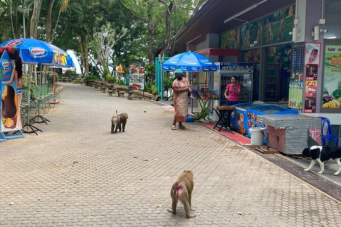 Private local city tour with english speaking driver - Wat Chalong: A Key Temple Stop With Local Respect