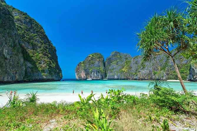 Private Phi Phi Islands & Bamboo Full Day Tour with snorkeling - Pileh Bay, Viking Cave, and Monkey Island in One Smooth Day